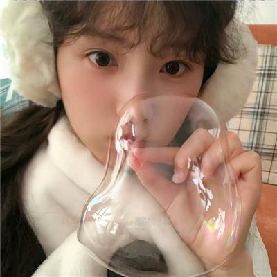 月升物语封面